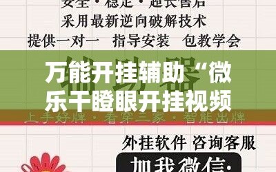 万能开挂辅助“微乐干瞪眼开挂视频”分享装挂详细步骤