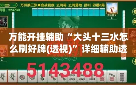 万能开挂辅助“大头十三水怎么刷好牌(透视)”详细辅助透视