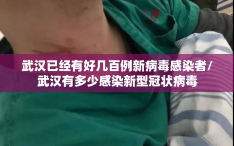 武汉已经有好几百例新病毒感染者/武汉有多少感染新型冠状病毒