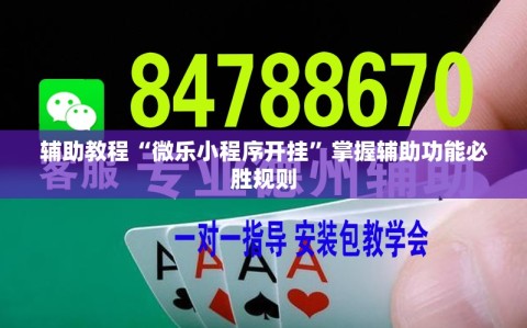 辅助教程“微乐小程序开挂”掌握辅助功能必胜规则