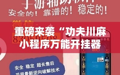 重磅来袭“功夫川麻小程序万能开挂器”掌握辅助功能必胜规则