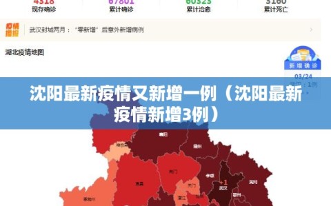 沈阳最新疫情又新增一例（沈阳最新疫情新增3例）