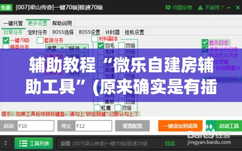 辅助教程“微乐自建房辅助工具”(原来确实是有插件)