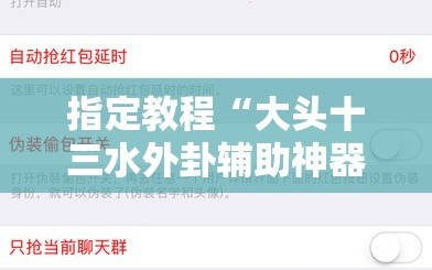 指定教程“大头十三水外卦辅助神器”开挂详细安装教程