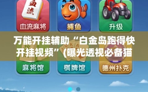 万能开挂辅助“白金岛跑得快开挂视频”(曝光透视必备猫腻)