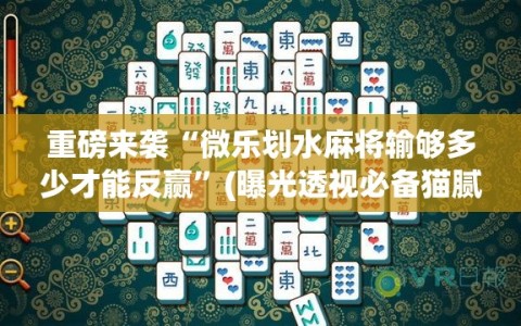 重磅来袭“微乐划水麻将输够多少才能反赢”(曝光透视必备猫腻)