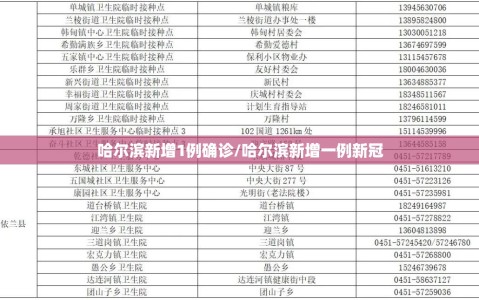 哈尔滨新增1例确诊/哈尔滨新增一例新冠