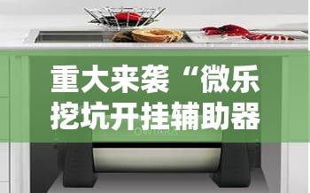 重大来袭“微乐挖坑开挂辅助器免费安装下载”详细开挂玩法