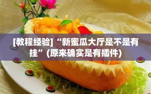 [教程经验]“新蜜瓜大厅是不是有挂”(原来确实是有插件)