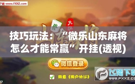 技巧玩法：“微乐山东麻将怎么才能常赢”开挂(透视)辅助神器