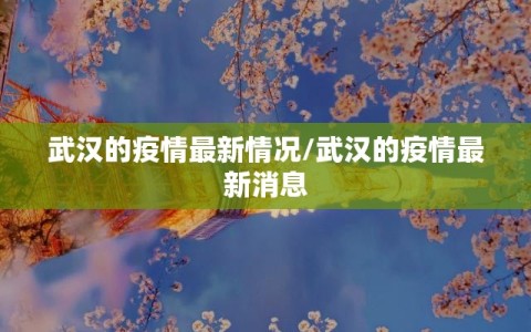 武汉的疫情最新情况/武汉的疫情最新消息