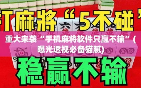 重大来袭“手机麻将软件只赢不输”(曝光透视必备猫腻)