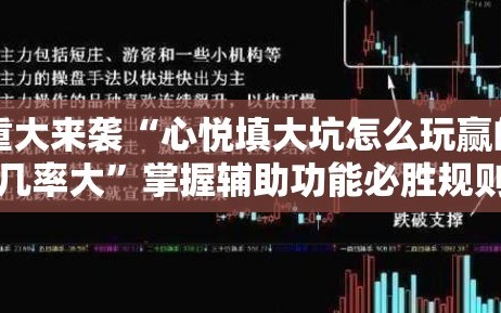 重大来袭“心悦填大坑怎么玩赢的几率大”掌握辅助功能必胜规则