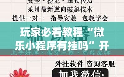 玩家必看教程“微乐小程序有挂吗”开挂(透视)辅助神器