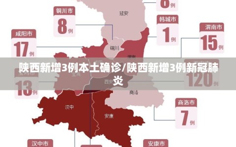 陕西新增3例本土确诊/陕西新增3例新冠肺炎