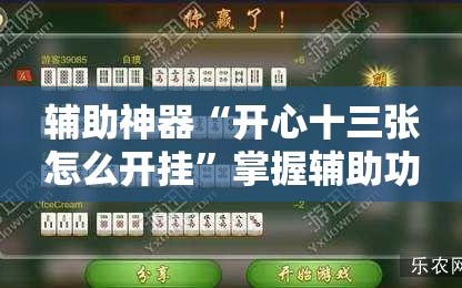 辅助神器“开心十三张怎么开挂”掌握辅助功能必胜规则