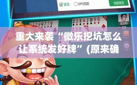 重大来袭“微乐挖坑怎么让系统发好牌”(原来确实是有插件)