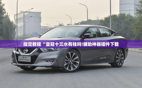 指定教程“皇冠十三水有挂吗!辅助神器插件下载