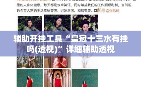 辅助开挂工具“皇冠十三水有挂吗(透视)”详细辅助透视