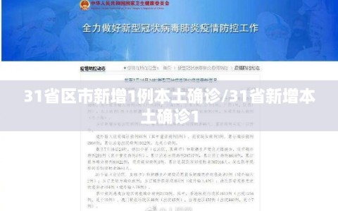 31省区市新增1例本土确诊/31省新增本土确诊1