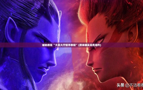 辅助教程“大圣大厅新手教程”(原来确实是有插件)