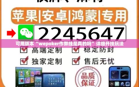 可用版本“wepoker作弊挂是真的吗”详细开挂玩法