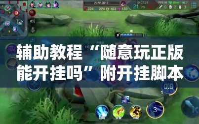 辅助教程“随意玩正版能开挂吗”附开挂脚本详细教程