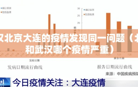 武汉北京大连的疫情发现同一问题（北京和武汉哪个疫情严重）