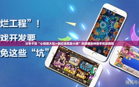 分享干货“心悦填大坑一到烂锅就发小牌”科技辅助神器手机版教程