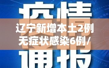 辽宁新增本土2例无症状感染6例/辽宁新增本土2例无症状感染6例病例