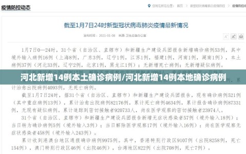 河北新增14例本土确诊病例/河北新增14例本地确诊病例