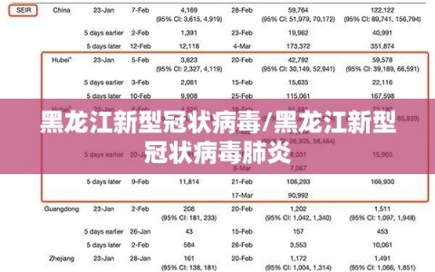 黑龙江新型冠状病毒/黑龙江新型冠状病毒肺炎