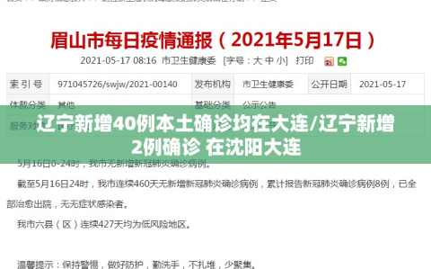 辽宁新增40例本土确诊均在大连/辽宁新增2例确诊 在沈阳大连