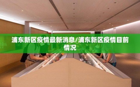 浦东新区疫情最新消息/浦东新区疫情目前情况