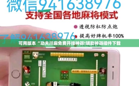 可用版本“功夫川麻免费开挂神器!辅助神器插件下载