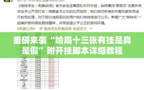 重磅来袭“哈局十三张有挂是真是假”附开挂脚本详细教程