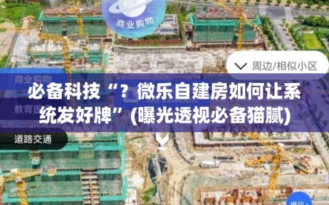 必备科技“？微乐自建房如何让系统发好牌”(曝光透视必备猫腻)