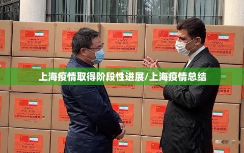 上海疫情取得阶段性进展/上海疫情总结
