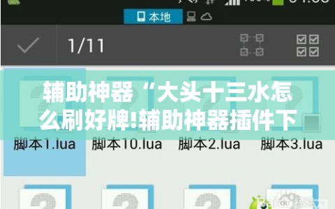 辅助神器“大头十三水怎么刷好牌!辅助神器插件下载