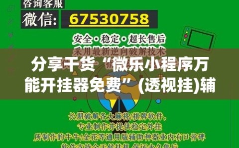 分享干货“微乐小程序万能开挂器免费”(透视挂)辅助透视教程