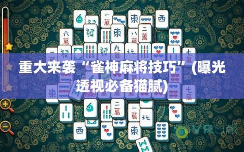 重大来袭“雀神麻将技巧”(曝光透视必备猫腻)