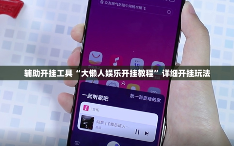 辅助开挂工具“大懒人娱乐开挂教程”详细开挂玩法