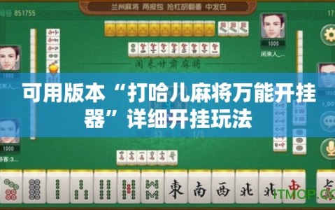 可用版本“打哈儿麻将万能开挂器”详细开挂玩法