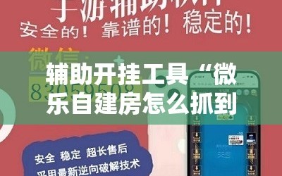 辅助开挂工具“微乐自建房怎么抓到好牌!辅助神器插件下载