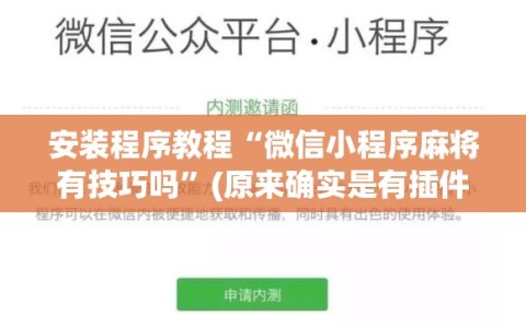 安装程序教程“微信小程序麻将有技巧吗”(原来确实是有插件)