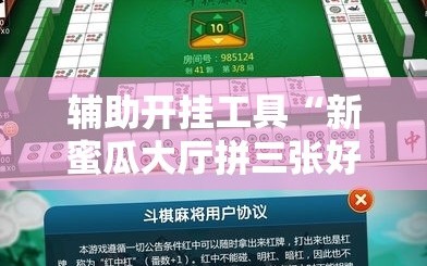 辅助开挂工具“新蜜瓜大厅拼三张好牌有什么规律”附开挂脚本详细教程