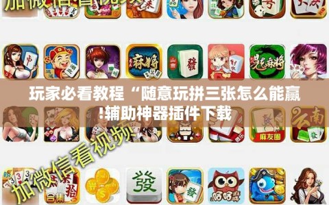 玩家必看教程“随意玩拼三张怎么能赢!辅助神器插件下载