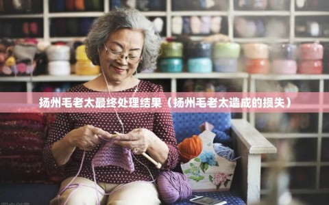 扬州毛老太最终处理结果（扬州毛老太造成的损失）