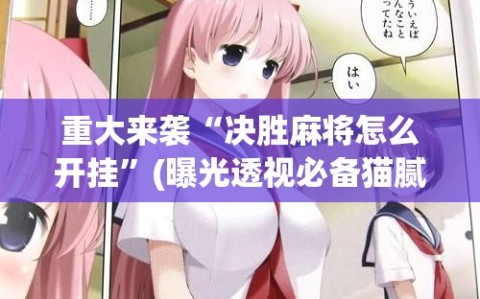 重大来袭“决胜麻将怎么开挂”(曝光透视必备猫腻)