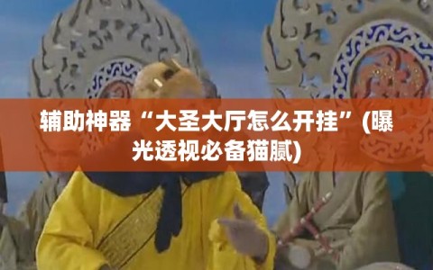 辅助神器“大圣大厅怎么开挂”(曝光透视必备猫腻)